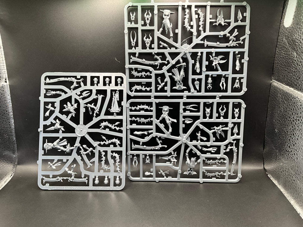 UM 2595 Drukhari Incubi