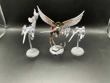 UM 2699 Adepta Sororitas Celestine Living Saint