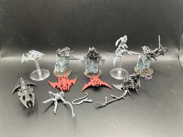 UM 2885 Drukhari Hellions