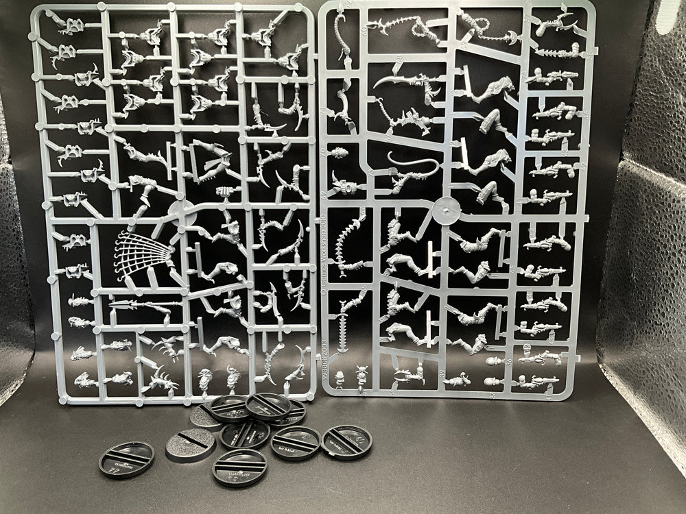 UM 2593 Drukhari Wyches