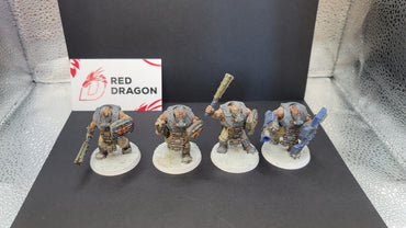UM 13 Astra Militarum Bullgryns