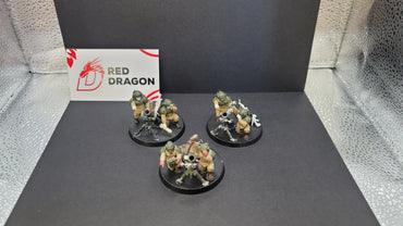 UM 17 Astra Militarum Cadian Heavy Weapons Squad