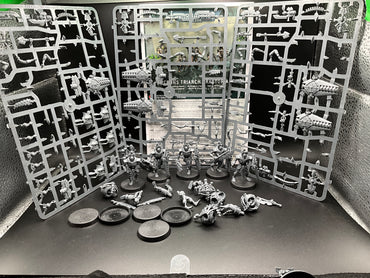 UM 3124 Necrons Lychguard