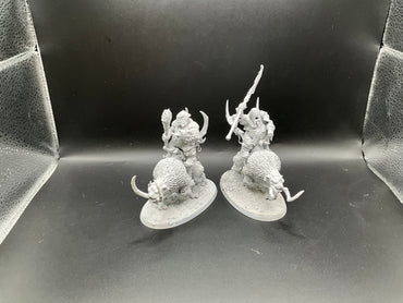 UM 2679 Ogor Mawtribes Mournfang Pack