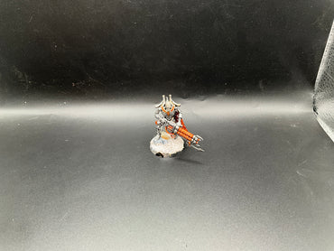 UM 3116 Necrons royal warden