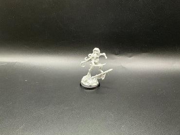 UM 2904 Drukhari Succubus