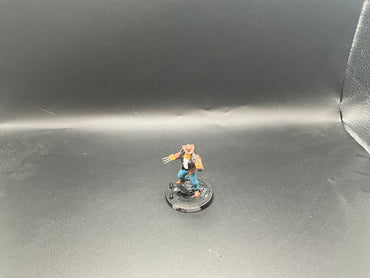 UM 2189  wolverine