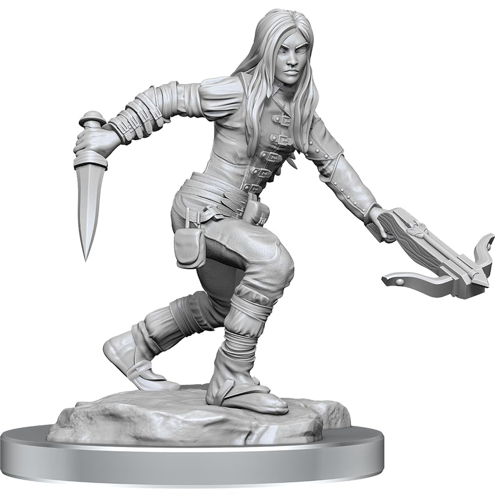 Dnd Unpainted Minis Wv17 Half-Elf Rogue Female