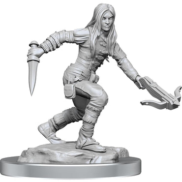 Dnd Unpainted Minis Wv17 Half-Elf Rogue Female