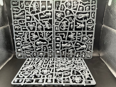 UM 2810 Hedonites Of Slaanesh noise marines