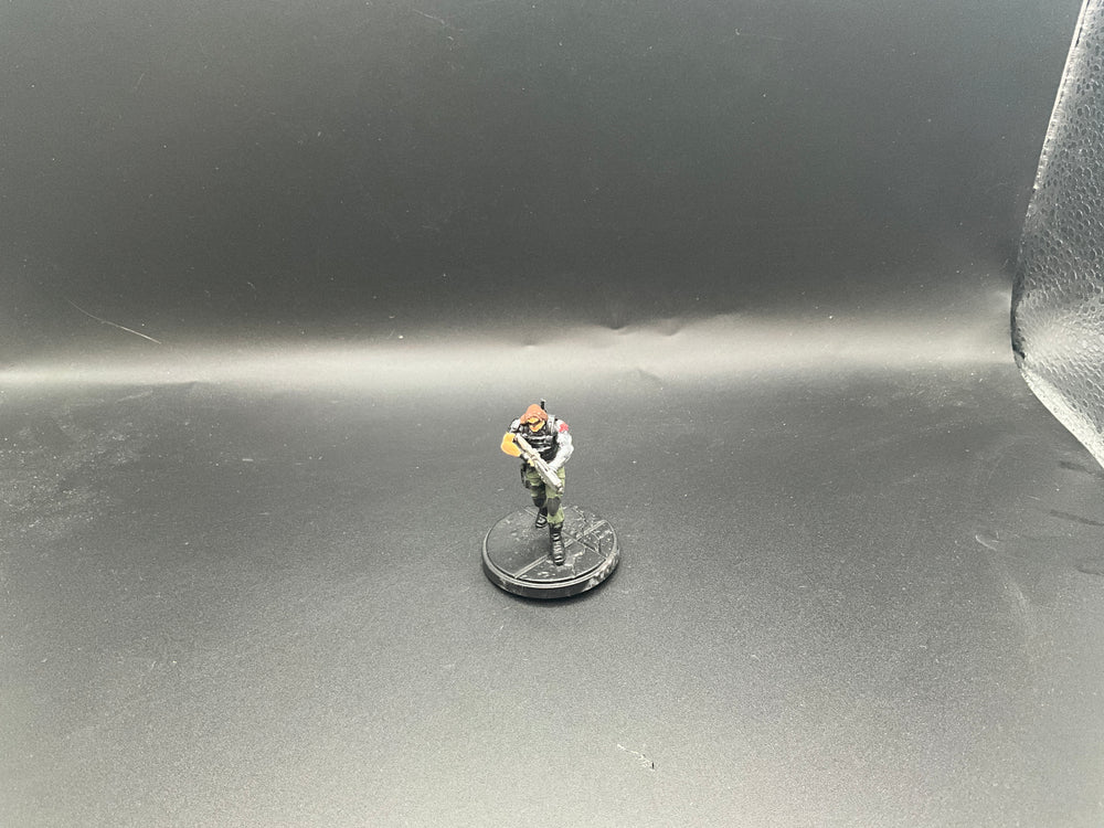 UM 2230  winter soldier