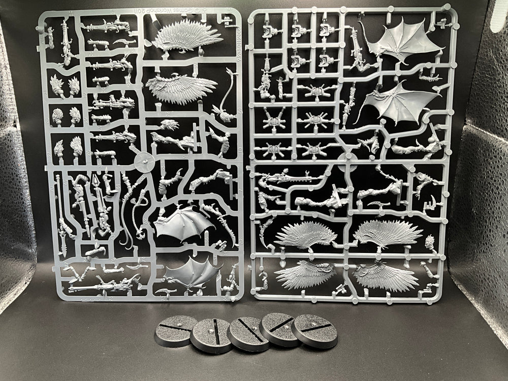 UM 2588 Drukhari Scourges