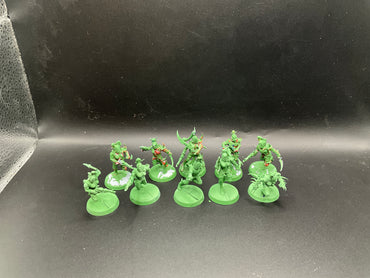 UM 2891 Drukhari Wyches