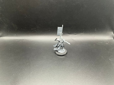 UM 2914 Aeldari Autarch