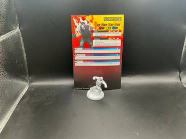 UM 2081  crossbones