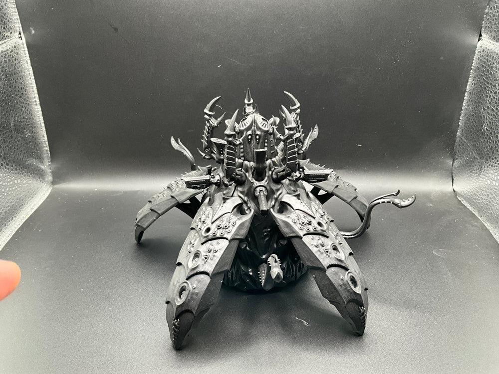 UM 2489 Tyranids sporocyst