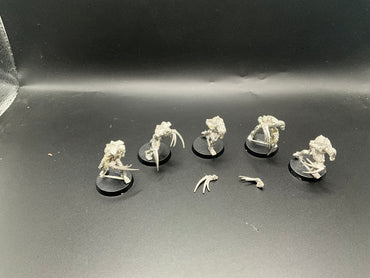 UM 2338 Necrons Flayed Ones