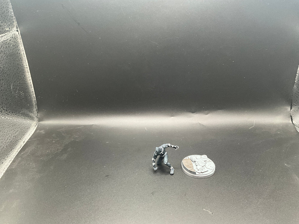 UM 2140  black panther