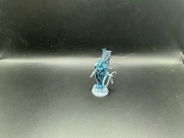 UM 2909 Drukhari Archon