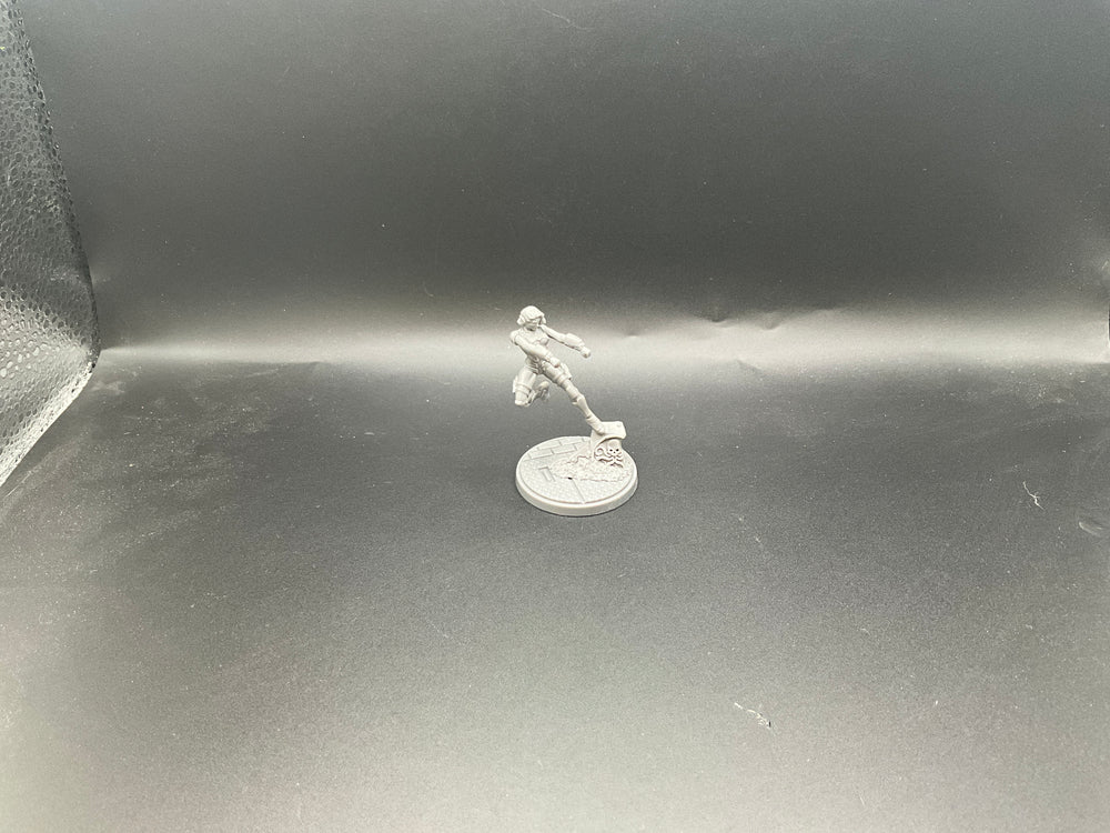 UM 2166  black widow