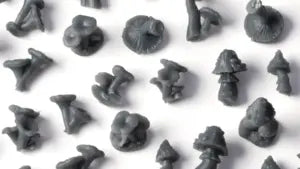 Forest Mushrooms Basing Bits