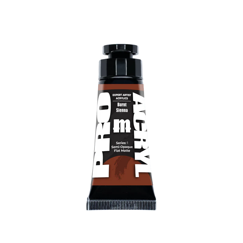 Expert Acrylics 010 - Burnt Sienna
