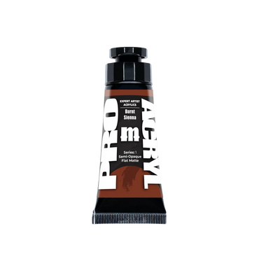 Expert Acrylics 010 - Burnt Sienna