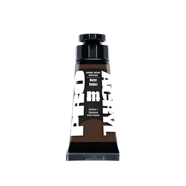 Expert Acrylics 007 - Burnt Umber