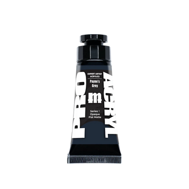 Expert Acrylics 013 - Payne's Grey