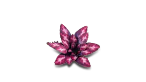 Alien Rosette
