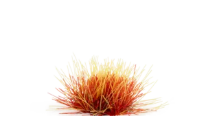 Alien Fire Tuft