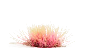 Alien Pink