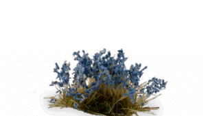 Bluebeard