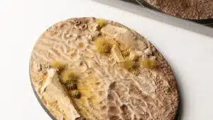 Battle Ready Bases - Deserts of Maahl 120mm oval