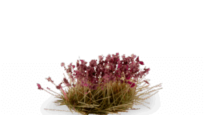 Heather Flowers