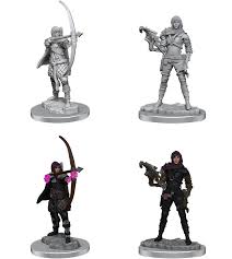 Wizkids Unpainted Minis Wv20 Human Rogue