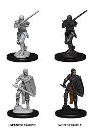 Dnd Unpainted Minis Wv9 Female Human Fighter