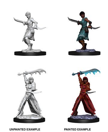 Dnd Unpainted Minis Wv10 Female Human Rogue
