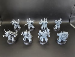 UM 1421 Death Guard Plague Marines