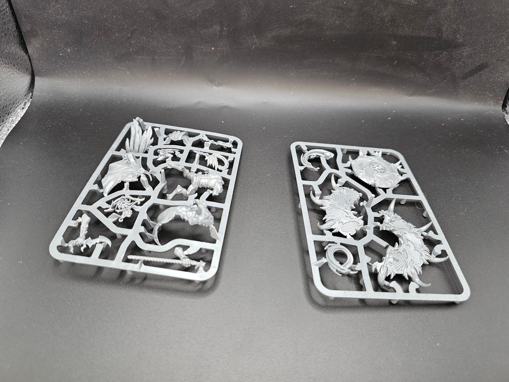 UM 1709 Tzaangor Shaman