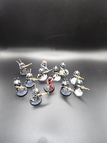 UM 173 Aeldari Guardians
