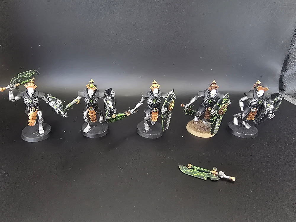 UM 1780 Necrons lychguard