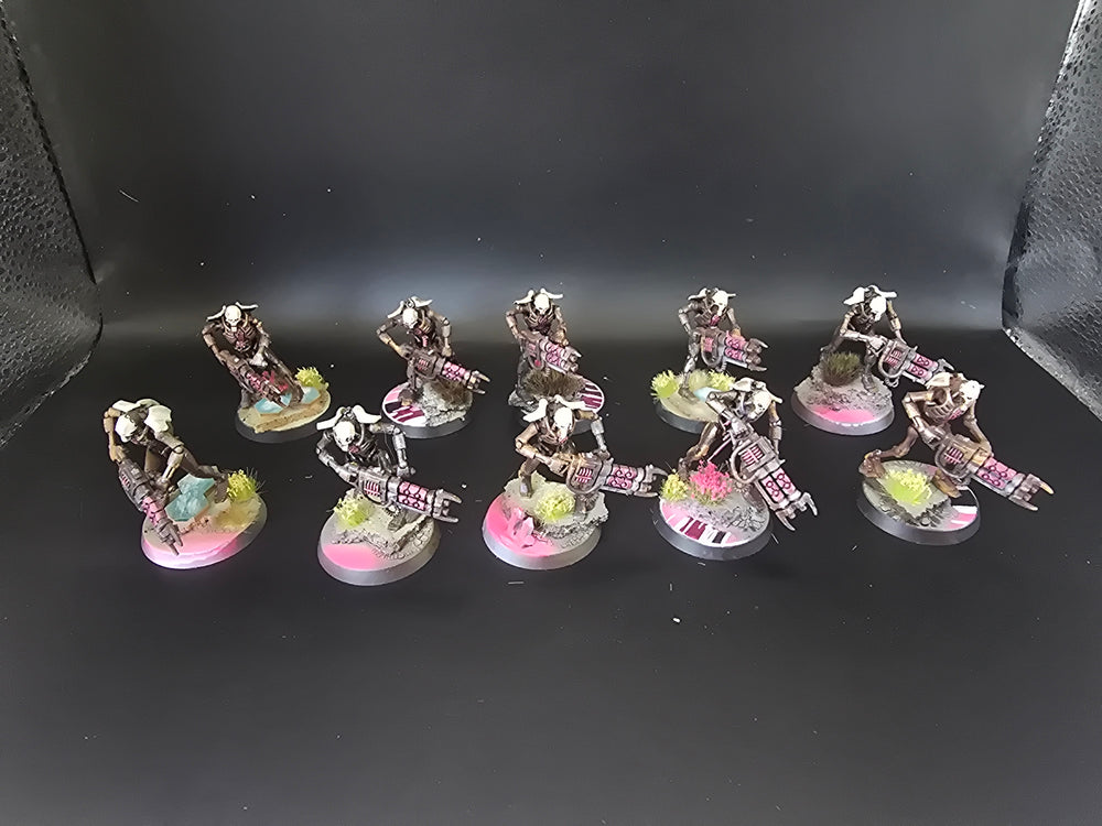 UM 1766 Necrons Immortals