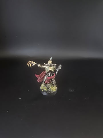 UM 1887 Necrons Necron lord