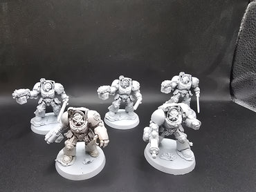UM 821 Space Marines Terminator Squad