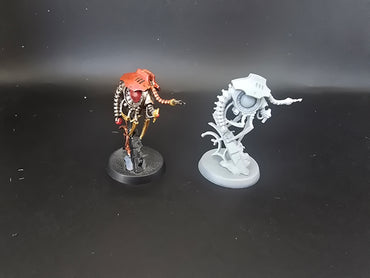 UM 1894 Necrons Plasmacyte