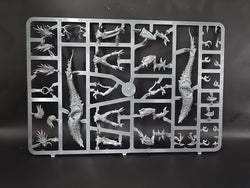 UM 1200 Hedonites Of Slaanesh seekert chariot