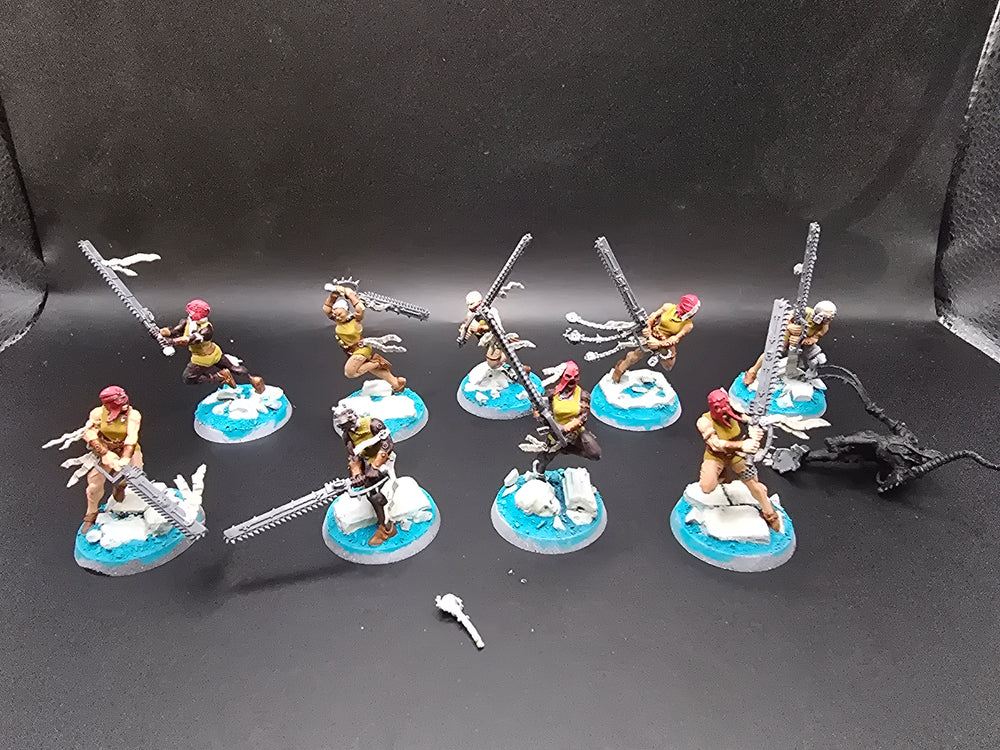 UM 1254 Adepta Sororitas Repentia Squad