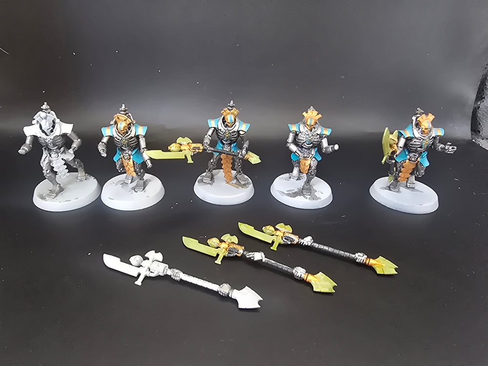 UM 1781 Necrons lychguard