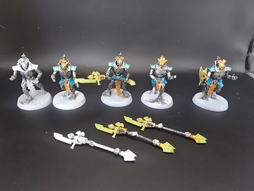 UM 1781 Necrons lychguard